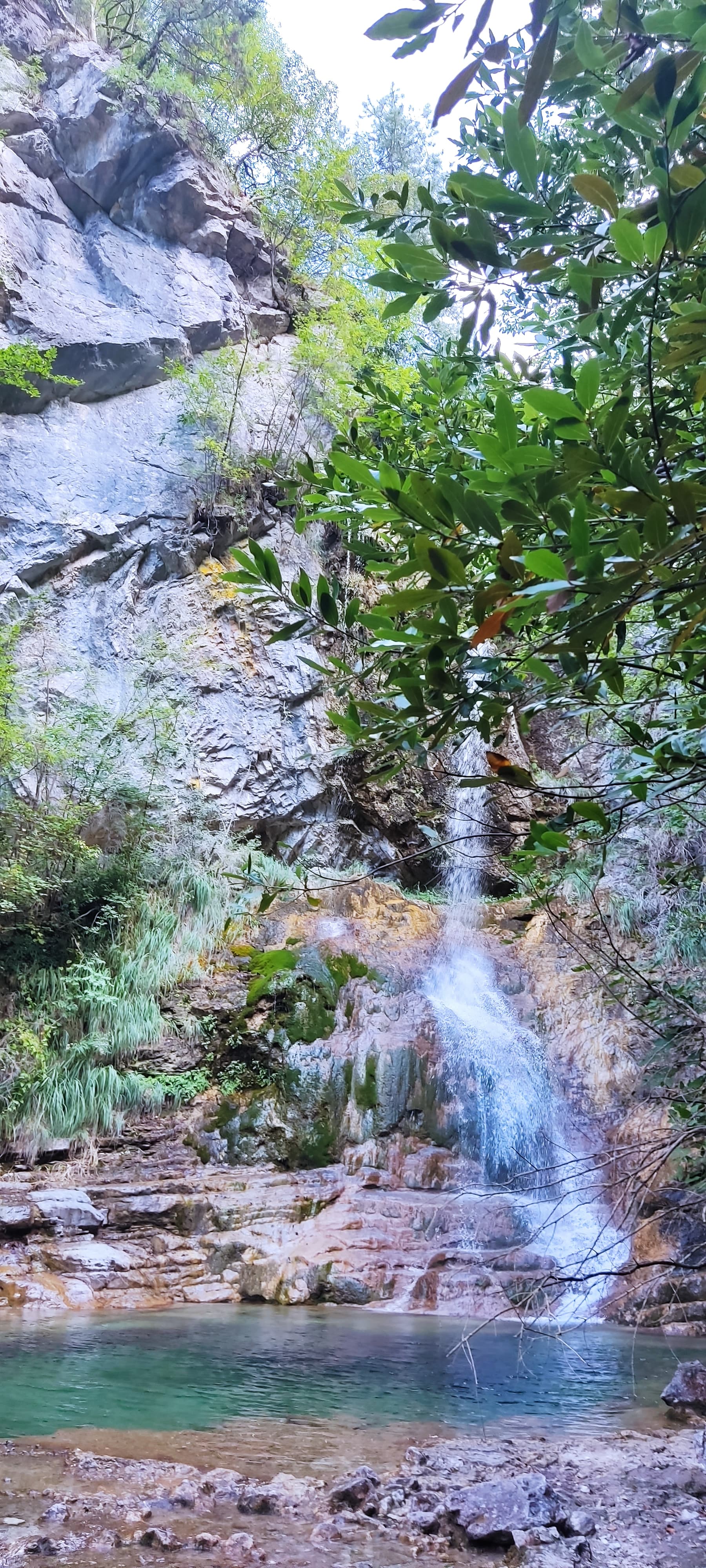 another non image alt