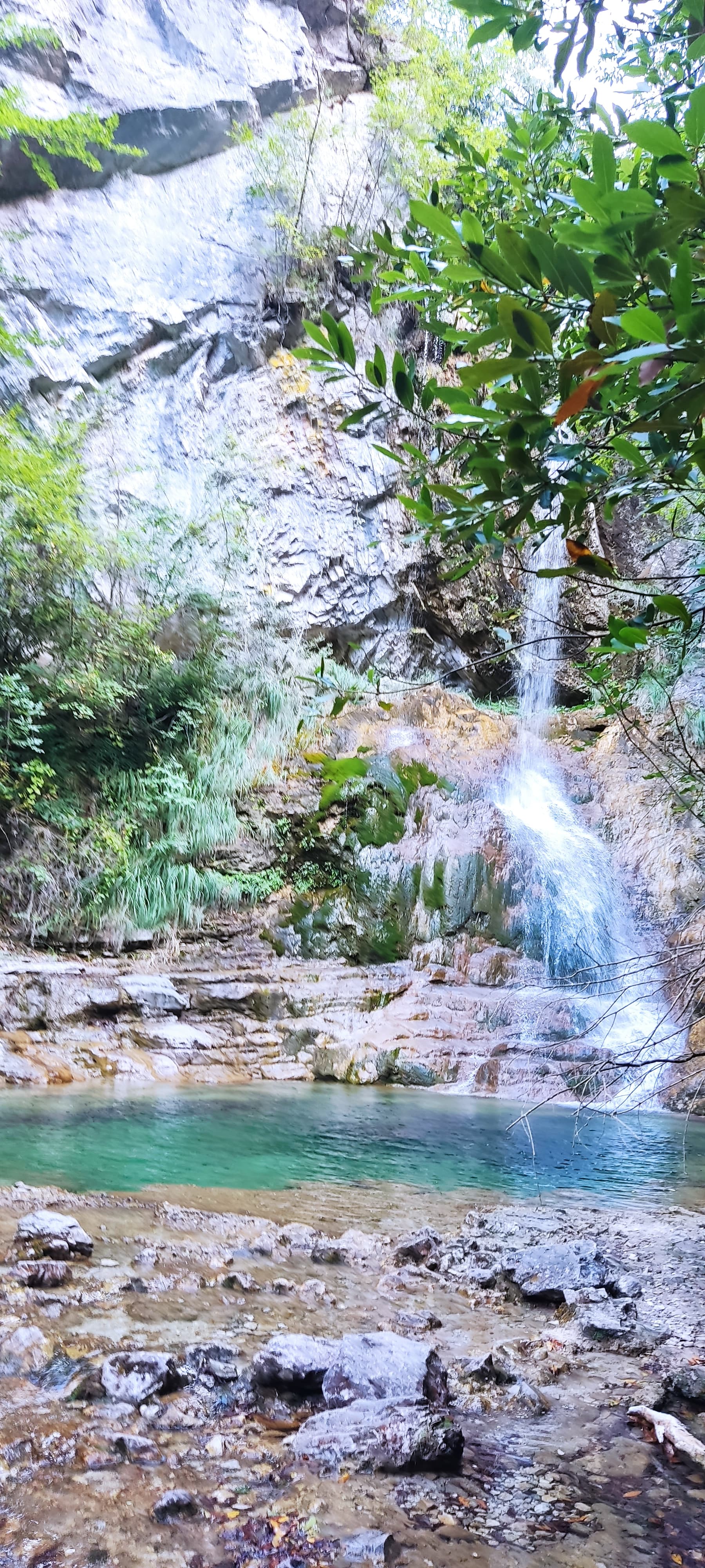 another non image alt